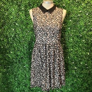 Betsey Johnson Peter Pan Collar Lace Dress